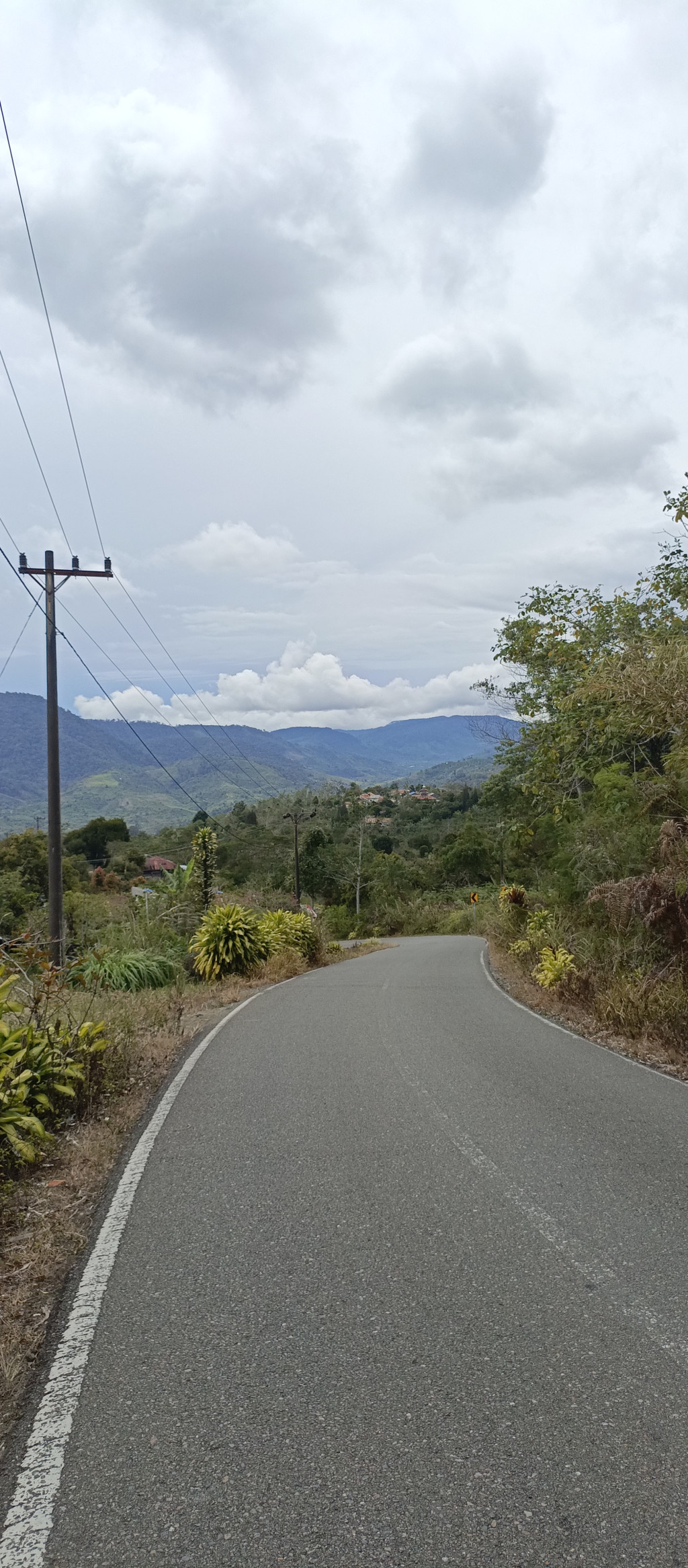 Dusun Tengah Jaya